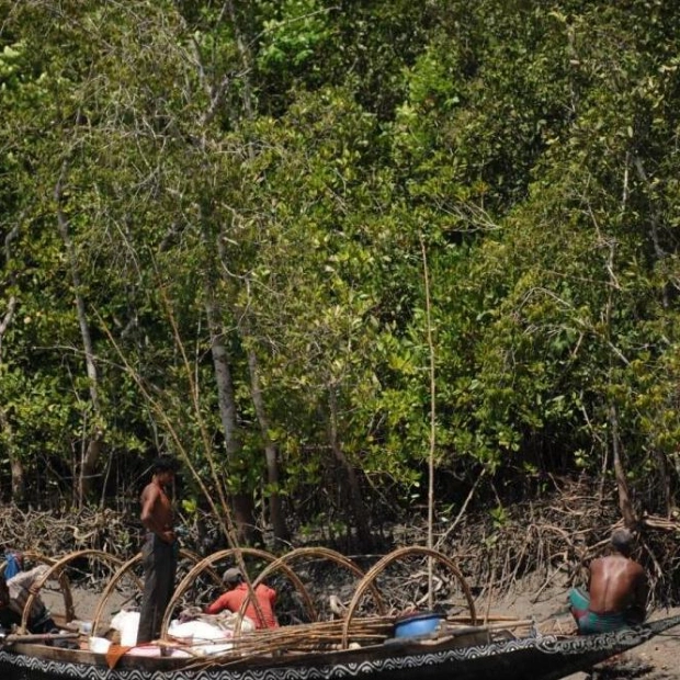 Bangladesh Charges 26 for Destroying Mangrove Forest