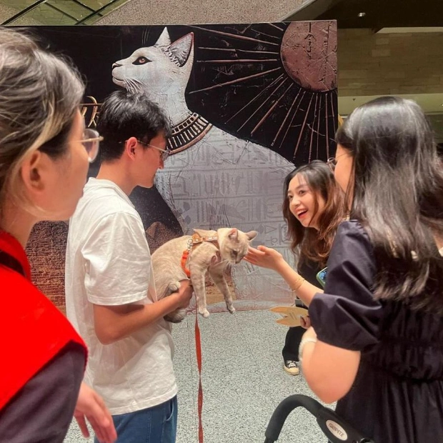 Shanghai Museum's Ancient Egyptian Exhibition Welcomes Cat Visitors