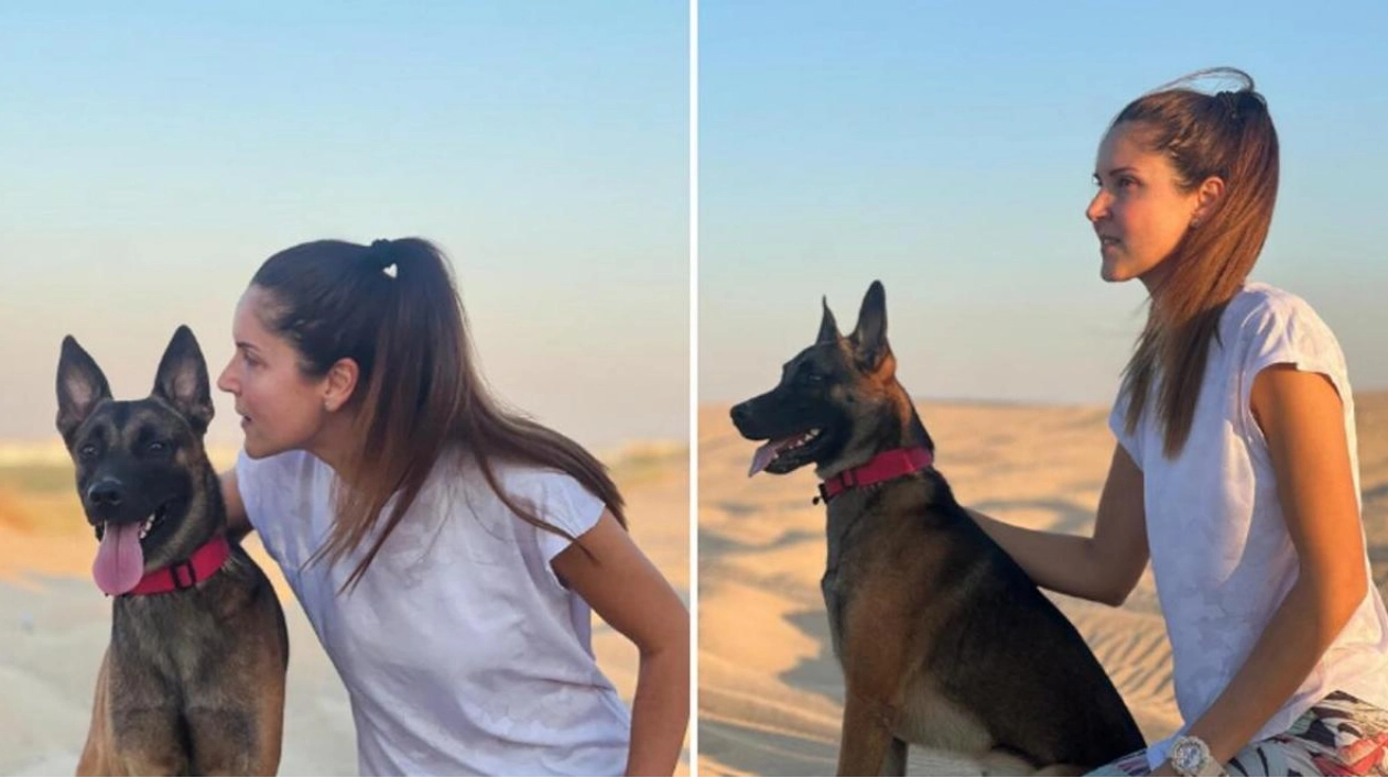 How UAE Residents Ensure Pet Care During Summer Vacations