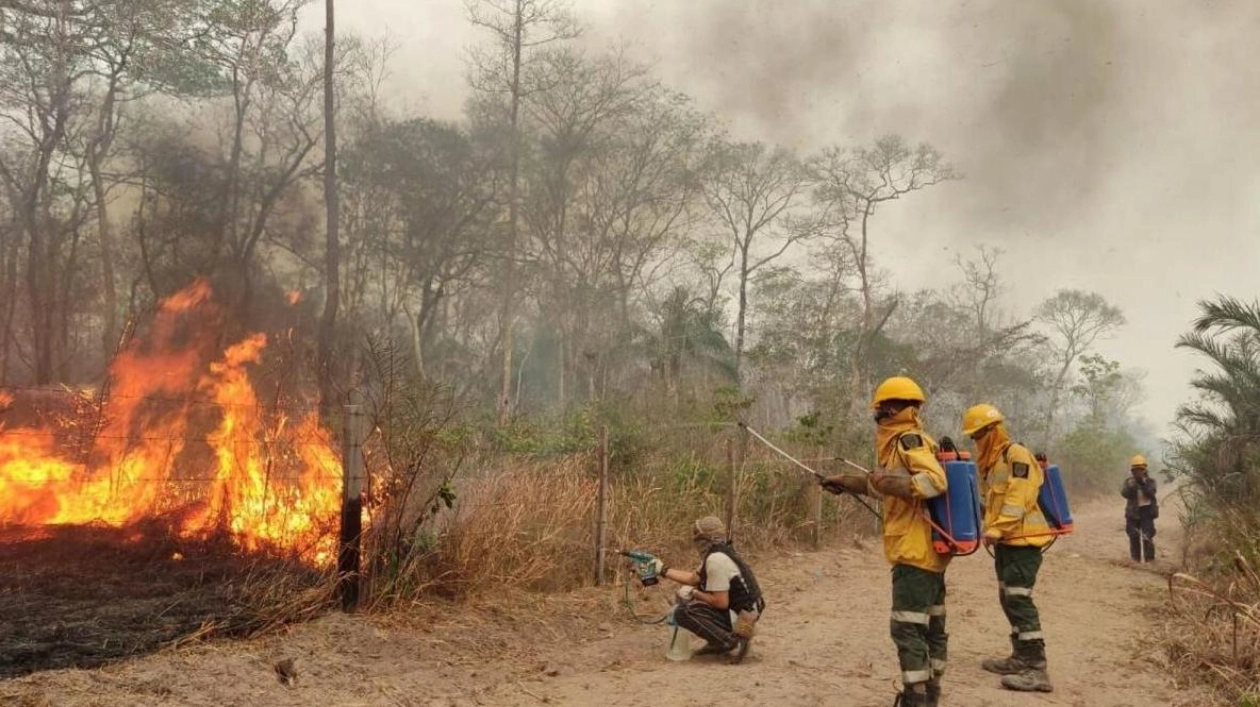 UAE Sends Emergency Food Aid to Bolivia Amid Wildfires