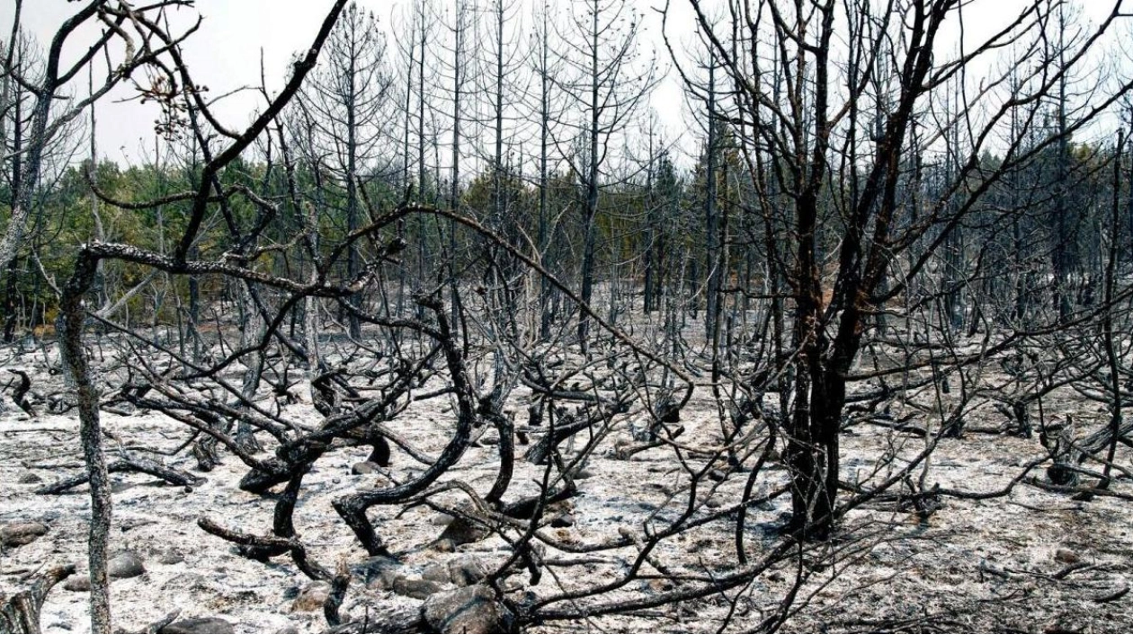 Major Border Crossing Closed Due to Fires Between Greece and North Macedonia