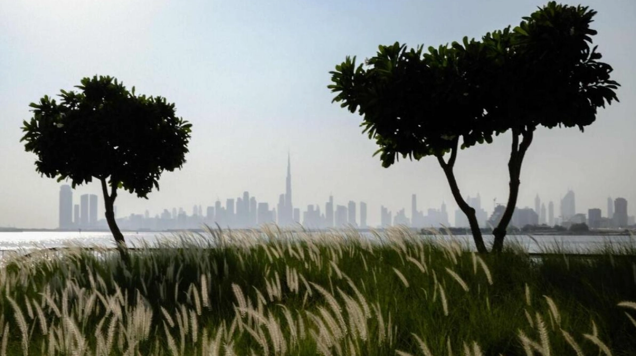 UAE Weather Forecast: Clear to Partly Cloudy Skies Expected