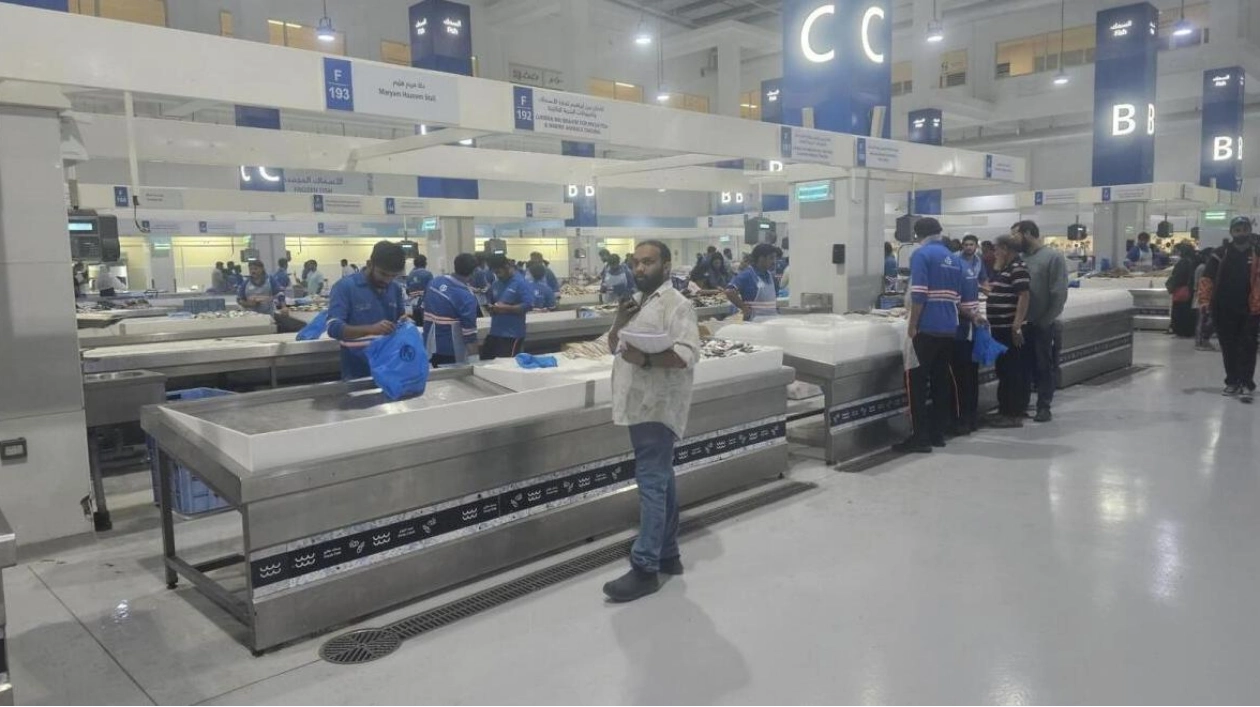 Fish Prices Soar in Dubai and Sharjah Amid Summer Heat