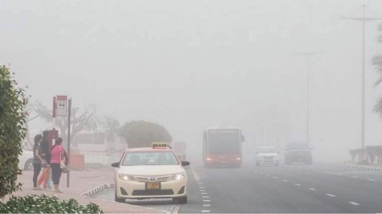 Fog Alerts Issued in UAE; Rainfall Expected