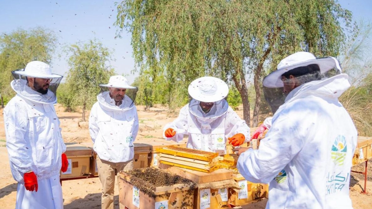 First Honey Harvest in Sharjah's Al Muntathar Reserve