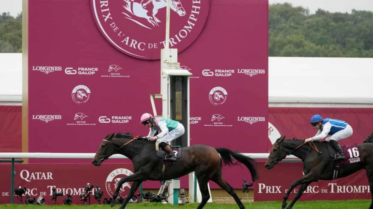 Bluestocking Triumphs in Prix de l'Arc de Triomphe