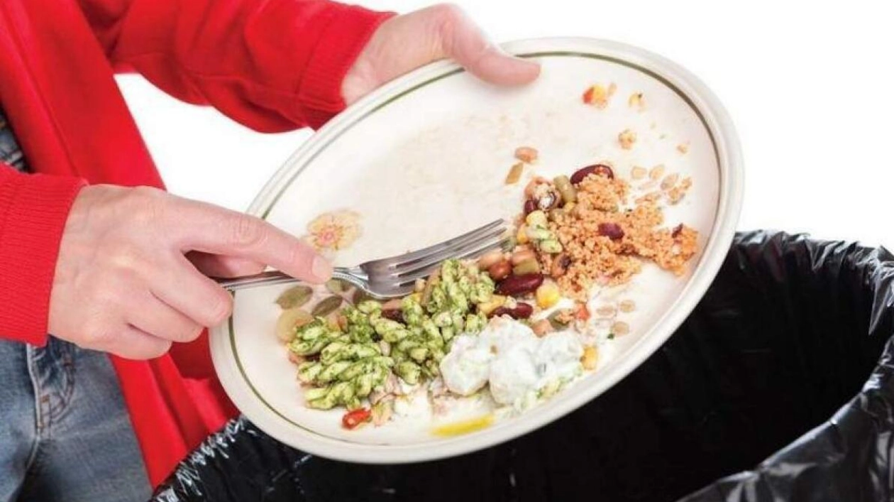 Zero-Food Waste Guide Launched by Ne’ma