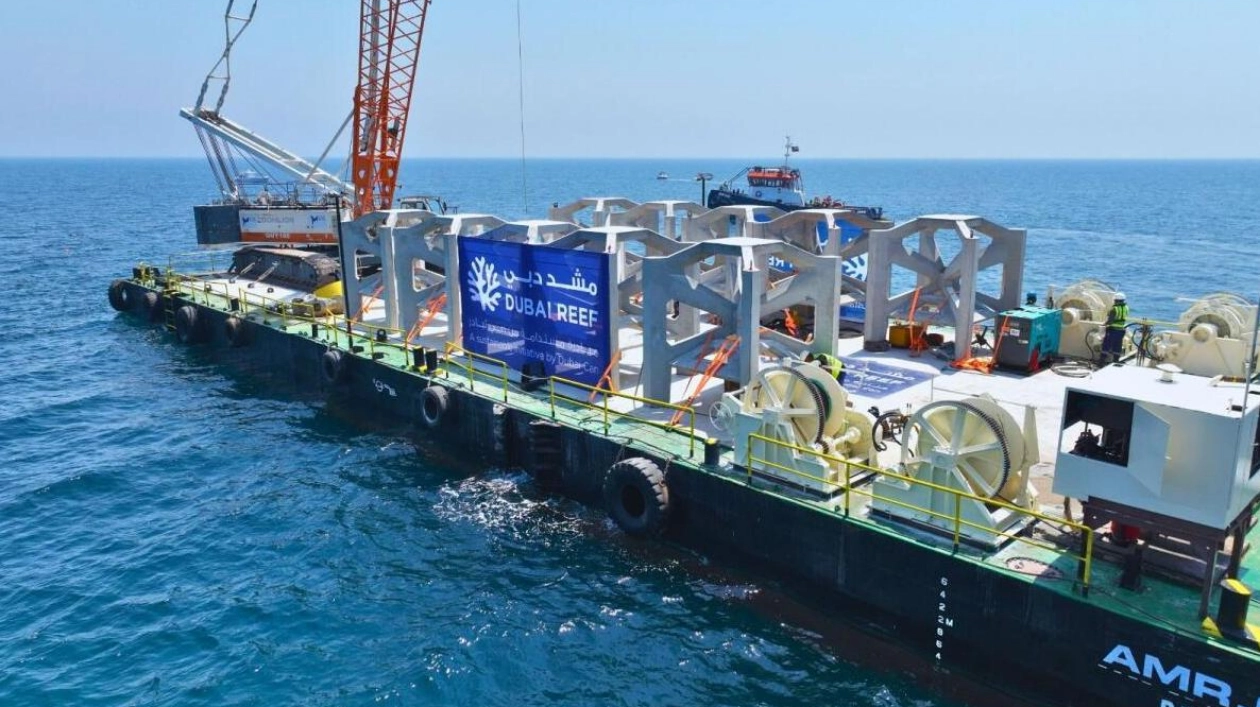 Dubai Deploys First Batch of Artificial Reefs