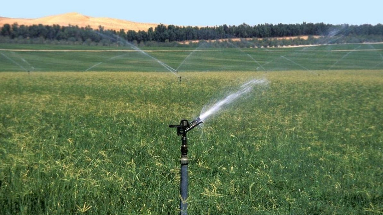 Sharjah Launches Two Major Irrigation Projects