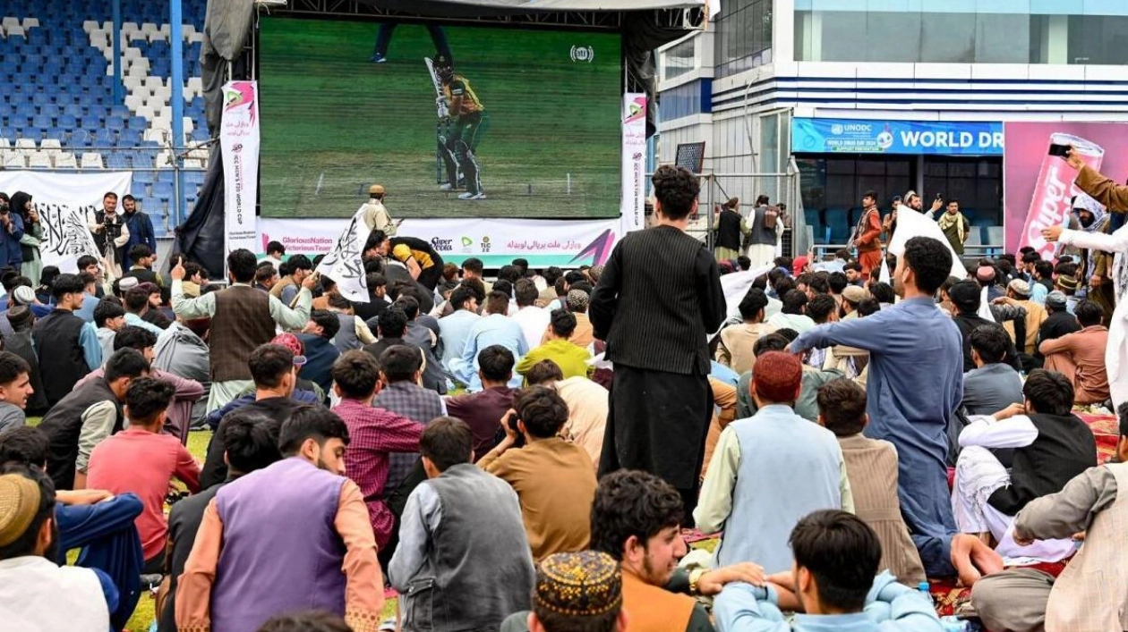 Afghans Reflect on Cricket Team's Semifinal Journey at T20 World Cup
