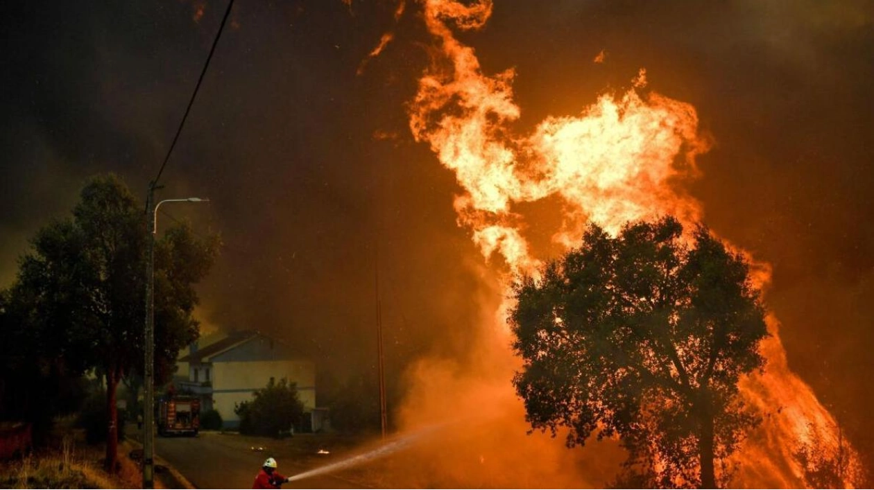 Portugal Seeks More Firefighting Aircraft Amid Multiple Wildfires