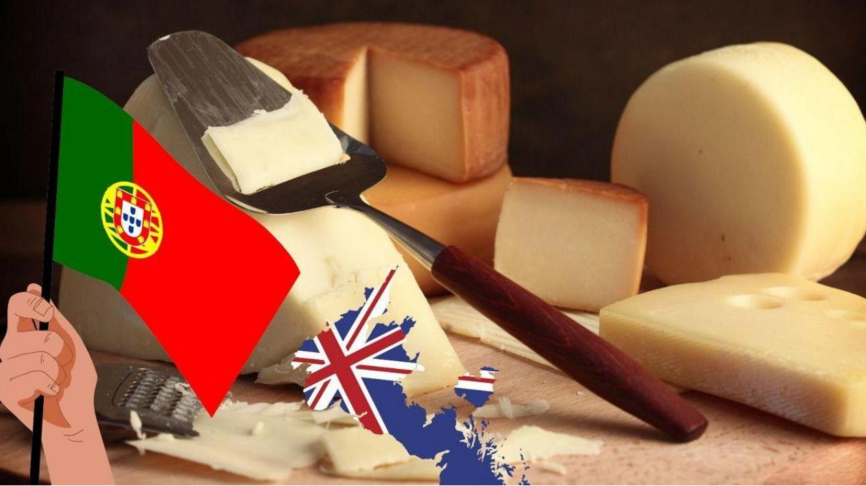 Queijo de Ovelha Amanteigado: World's Best Cheese