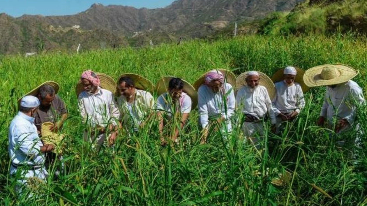 Saudi Arabia Issues Thousands of Agricultural Licenses