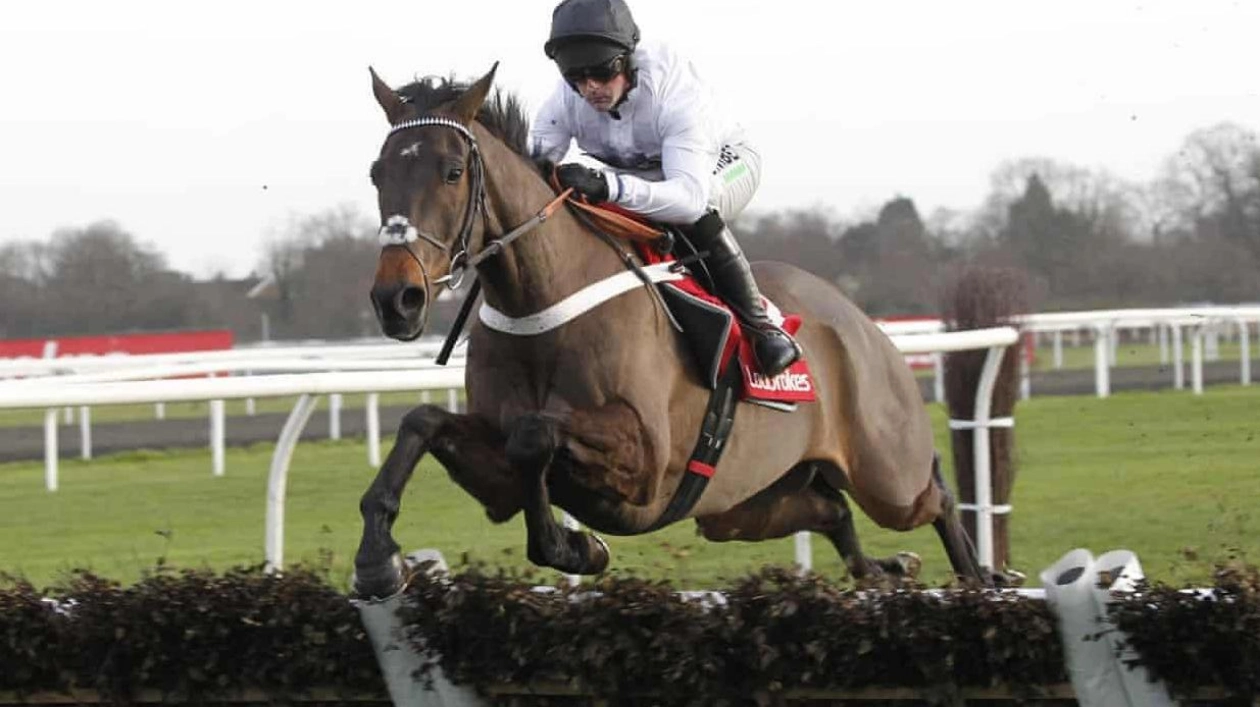 2024-25 National Hunt Season Kicks Off at Cheltenham