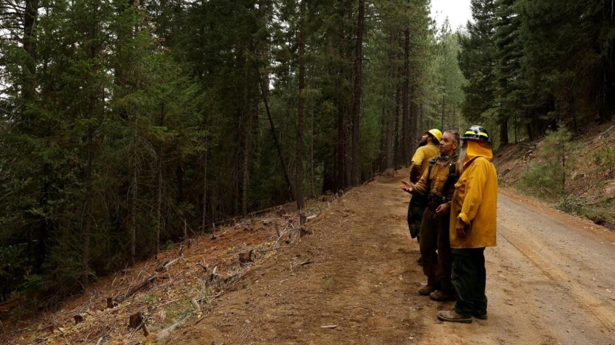 California's Largest Fire: 6,000 Firefighters Battle Historic Blaze