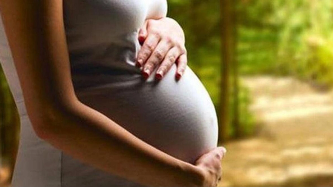 UAE Doctors Stress Importance of Seatbelts for Pregnant Women