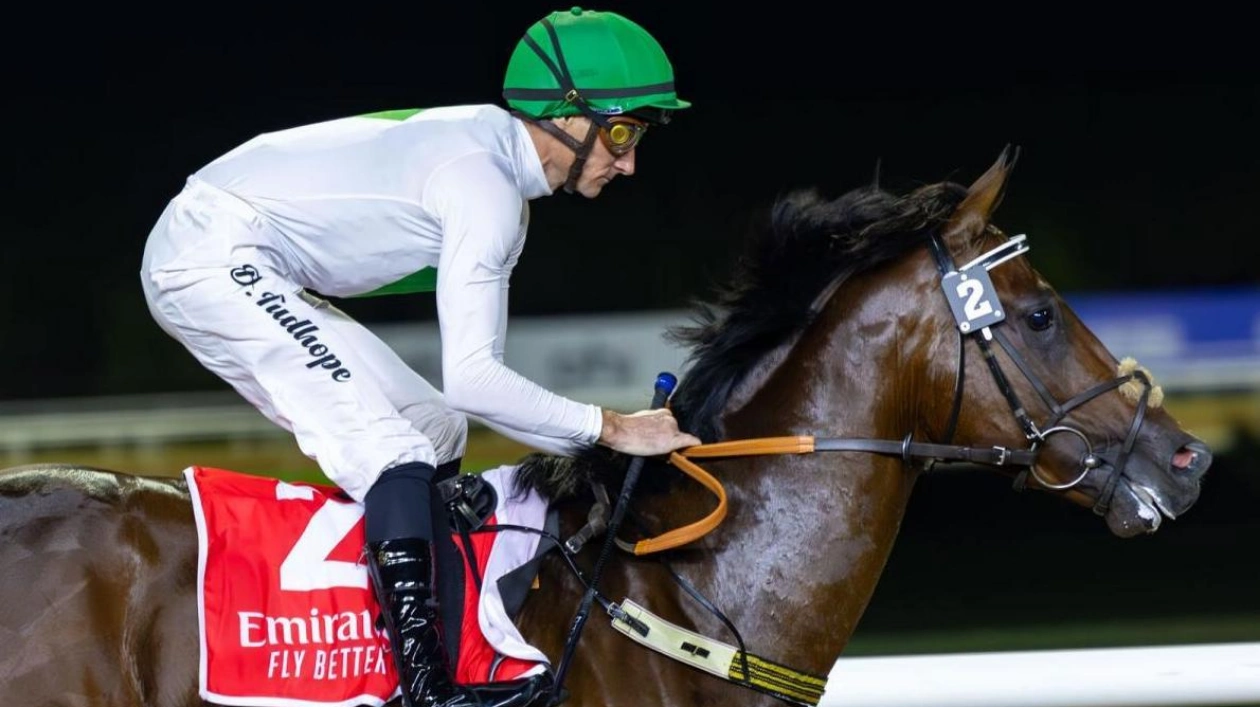 Top Racehorses Converge at Dubai Racing Carnival