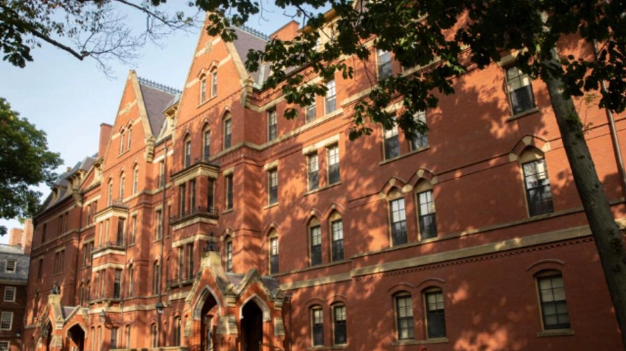 Exploring the Ivy League and Its Academic Alternatives