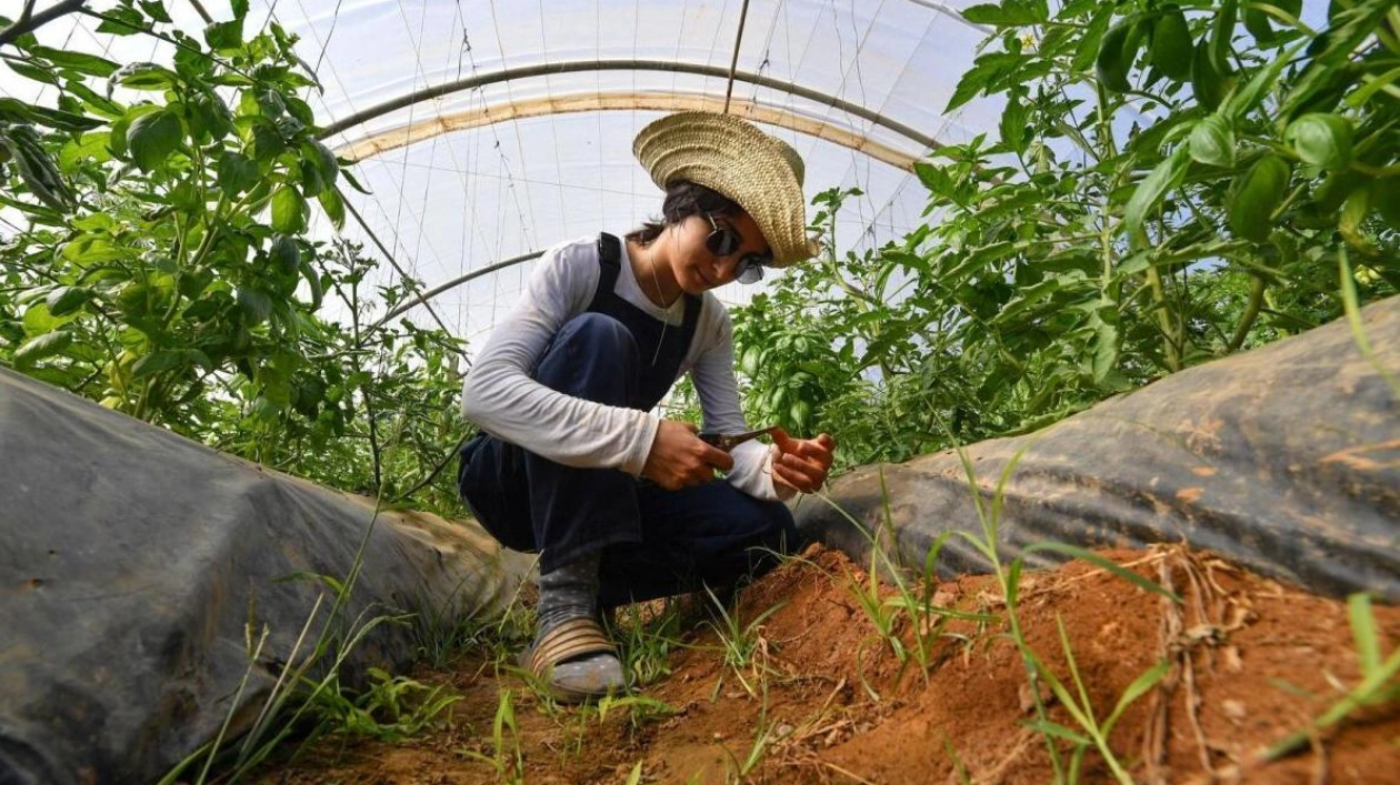 Algeria and Italy Ink €420 Million Agricultural Deal