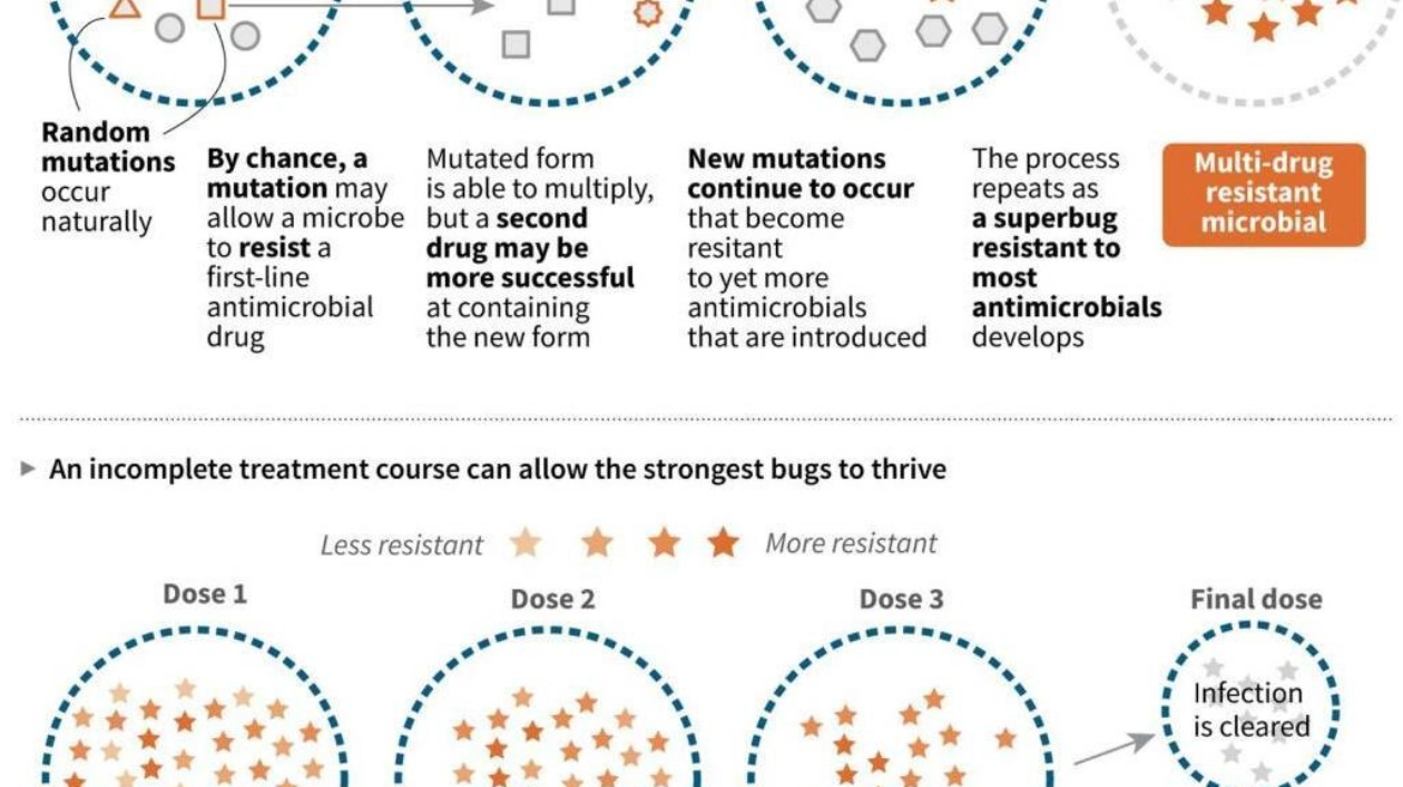 Superbugs Could Kill Nearly 40 Million by 2050: Global Analysis