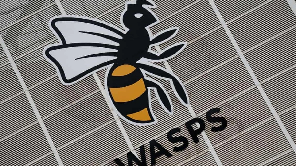 Wasps Eye Return with New Kent Stadium