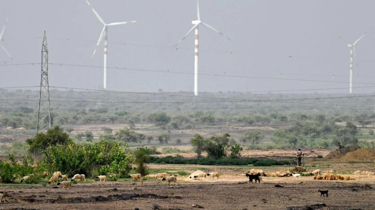 Wind Turbines in India's Thar Desert: A Double-Edged Sword