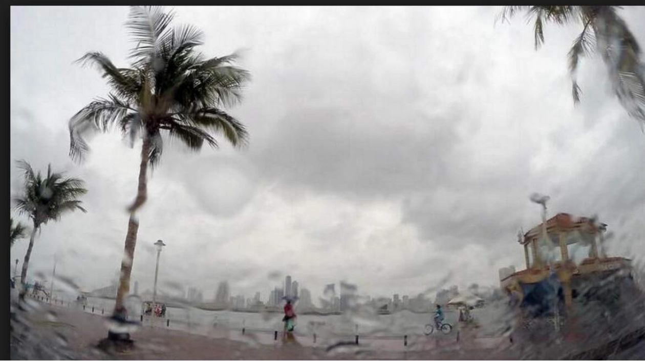 Rainfall Expected in UAE's Eastern and Southern Regions