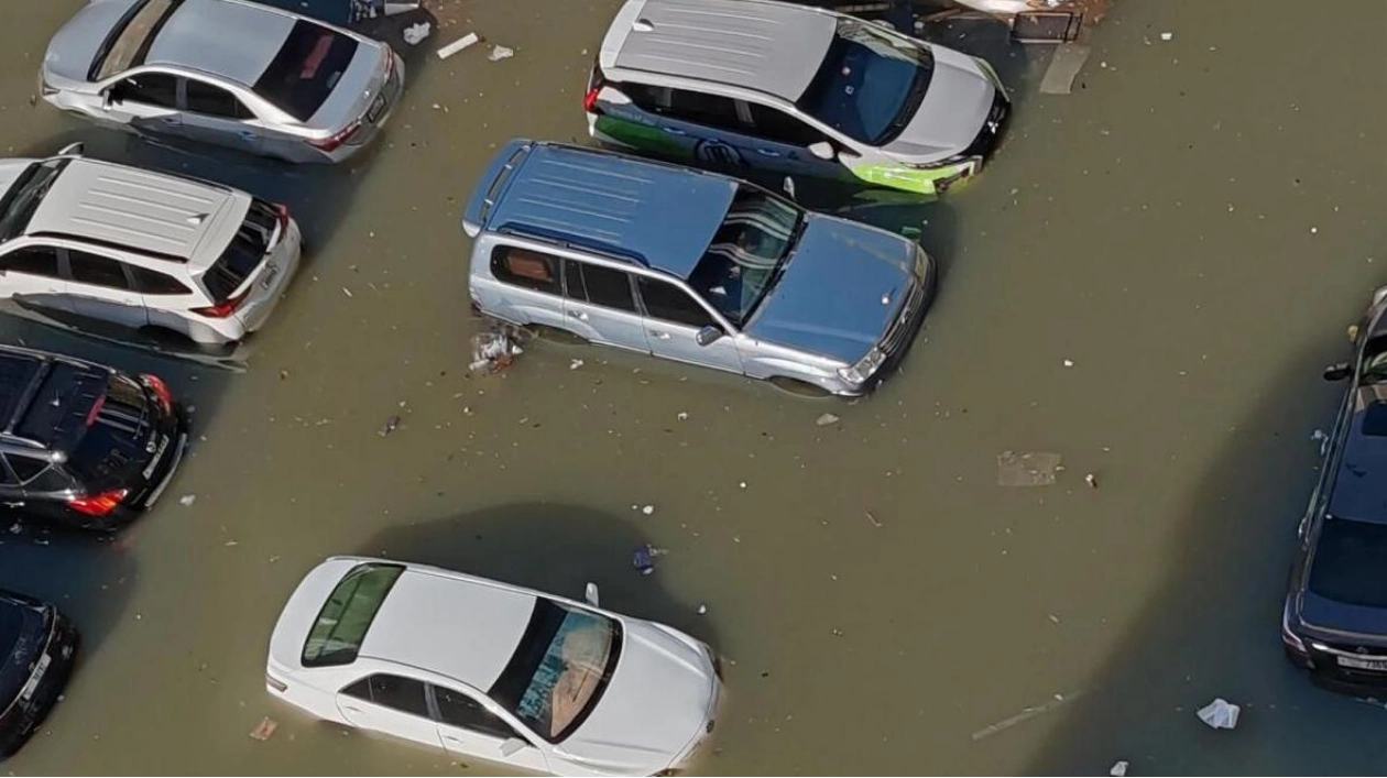 GCC Insurers See 8% Profit Increase Despite Heavy Rain Impact