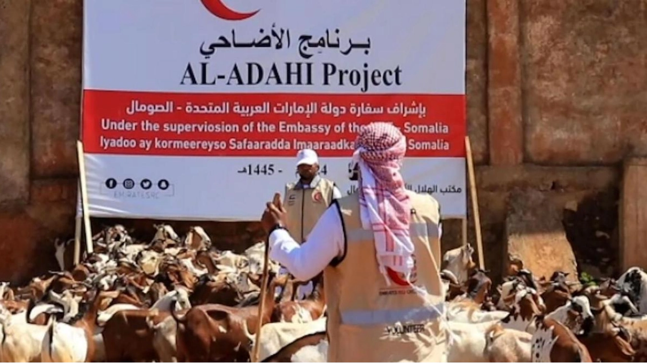 ERC Distributes Eid Clothing and Sacrificial Animals in Mogadishu