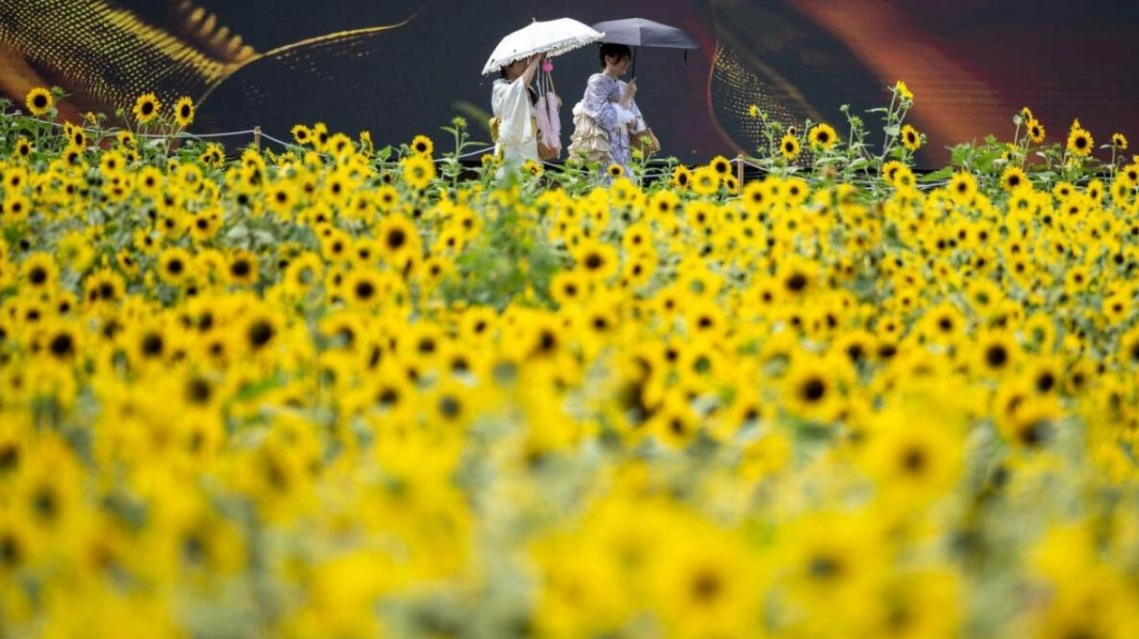 Second Hottest July Recorded Globally, Climate Trends Continue