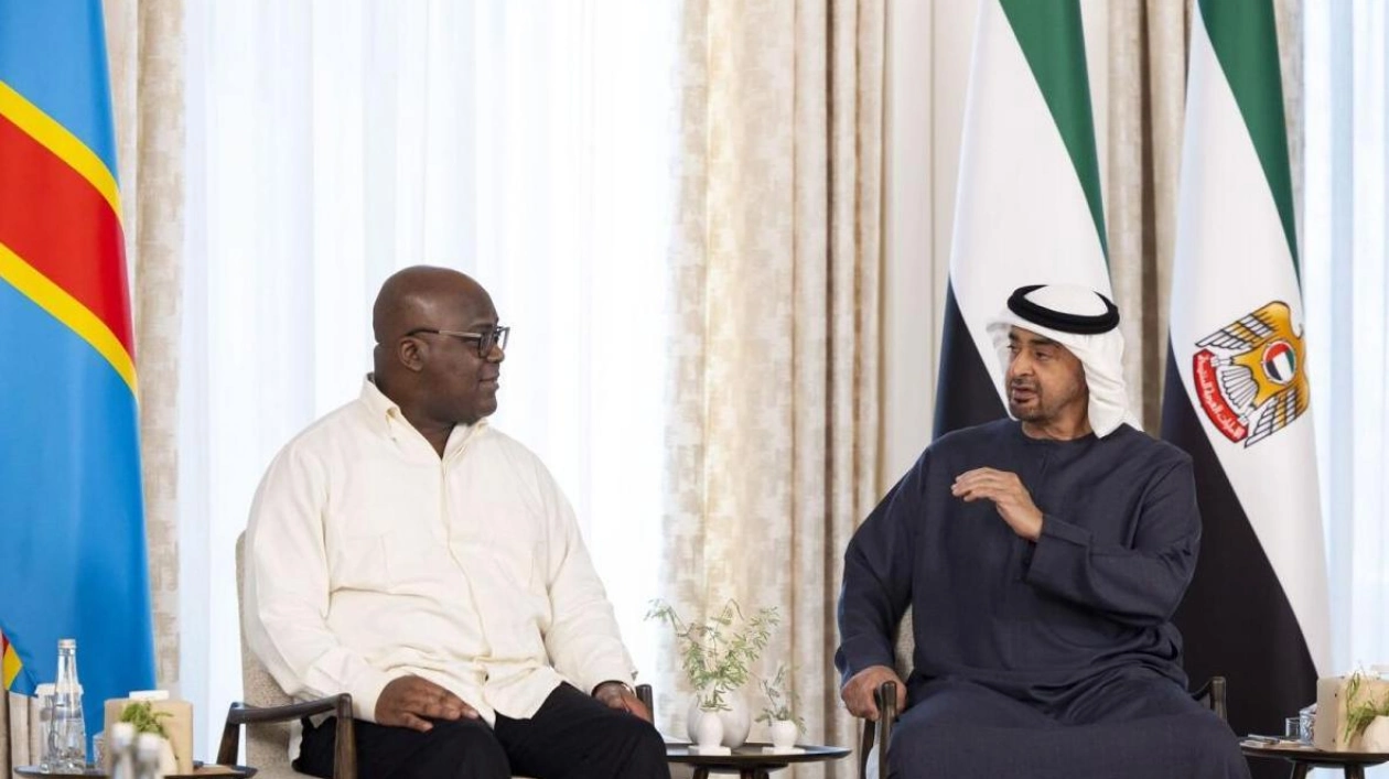 UAE President Meets DRC Leader to Enhance Bilateral Cooperation