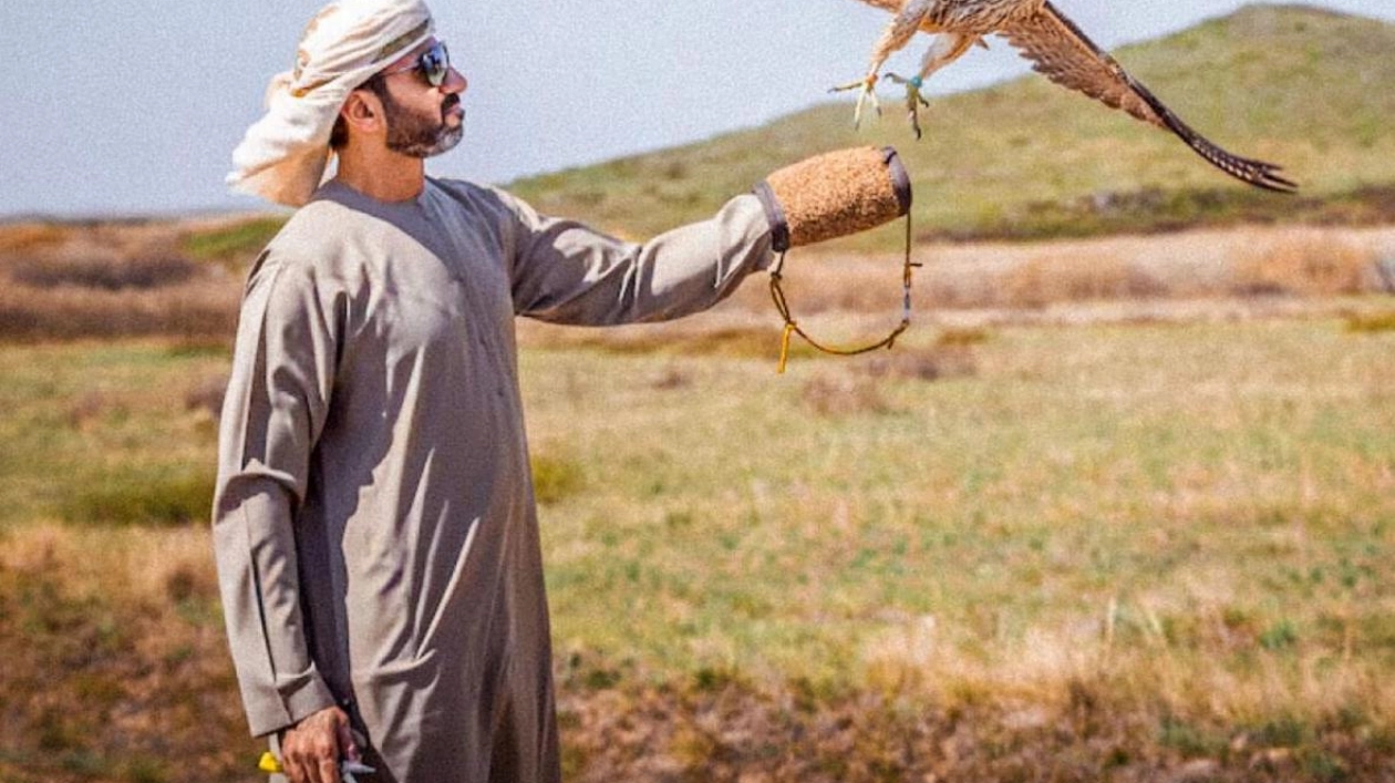 Sheikh Zayed Falcon Release Programme Marks 30 Years of Conservation