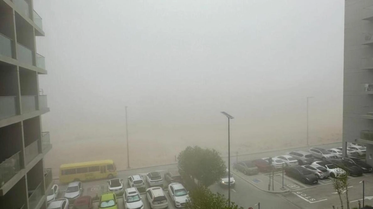 NCM Issues Red Alert for Fog-Impacted Visibility on UAE Roads