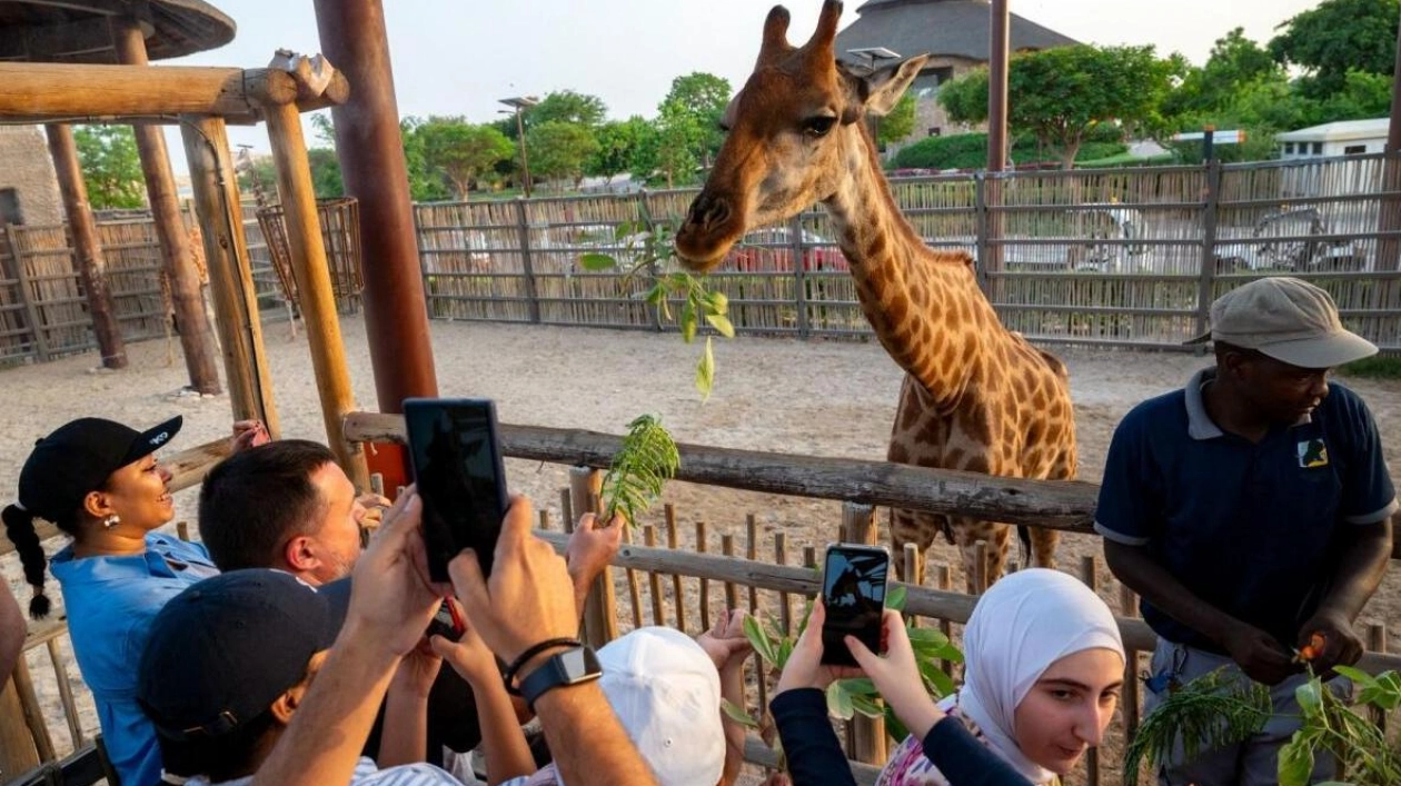 Dubai Safari Park Reopens with New Residents