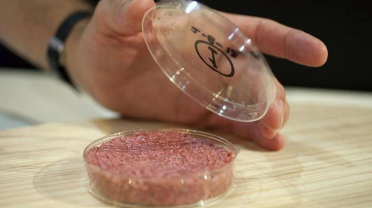 UAE and Believer Meats Partner to Advance Cultivated Meat