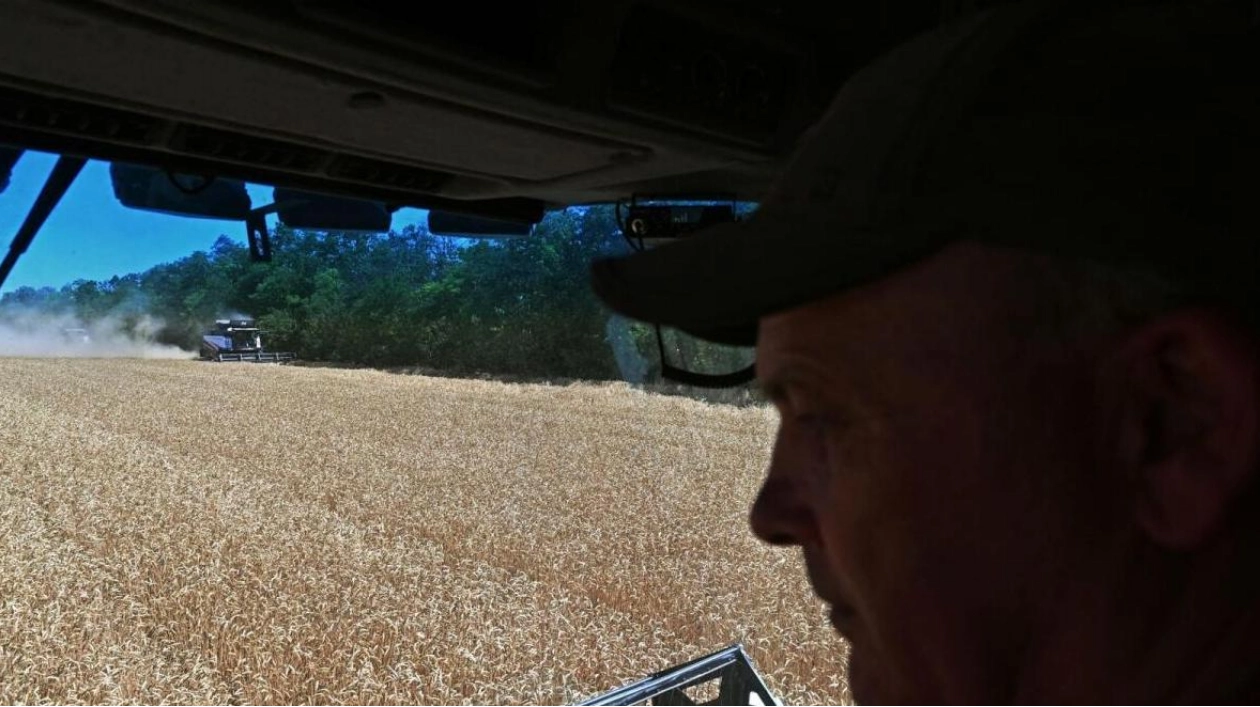 Harvest Struggles in Russia's Rostov Region Amid Extreme Weather