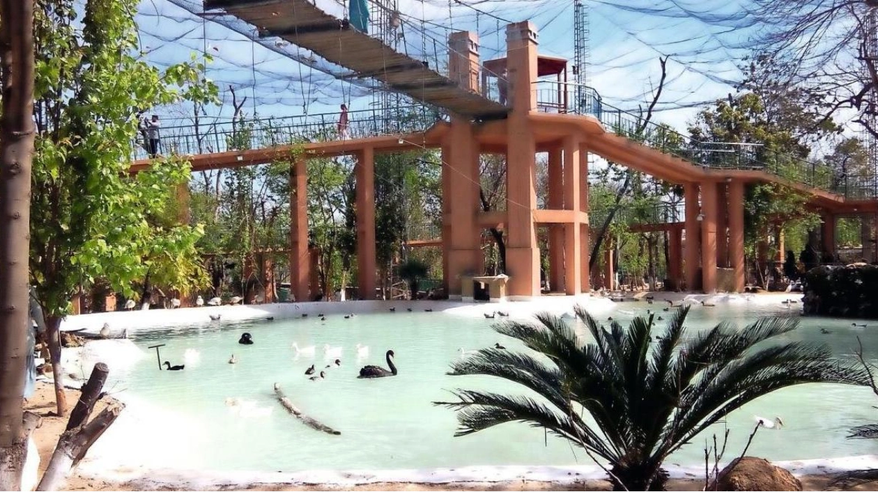 A Symphony of Avian Life: Islamabad’s Lake View Park Aviary