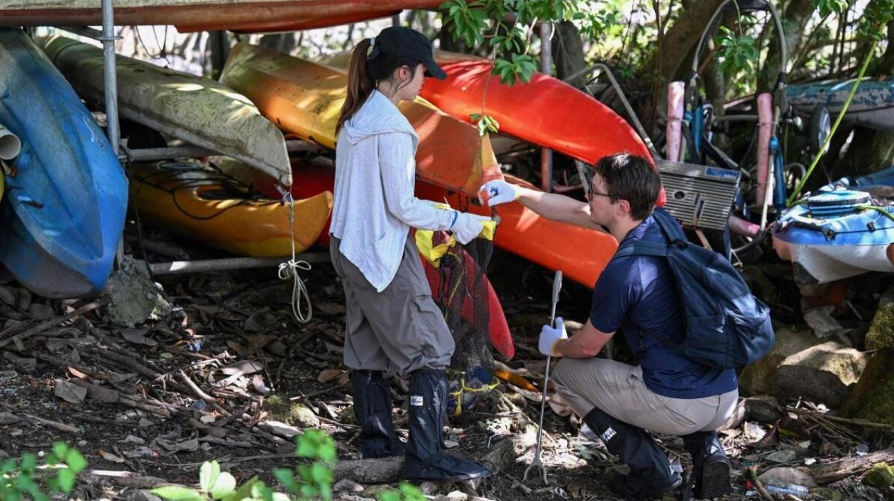 Microplastics Found in Hong Kong Wildlife, Highlighting Global Pollution Crisis