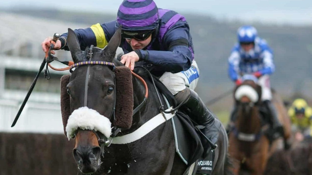 Triple Tragedy Casts Shadow Over Cheltenham Racing