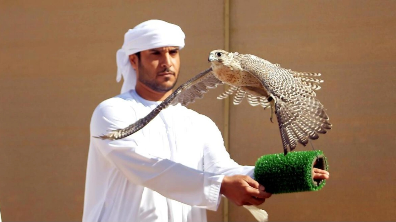 Reviving the Ancient Art of Falconry in the UAE