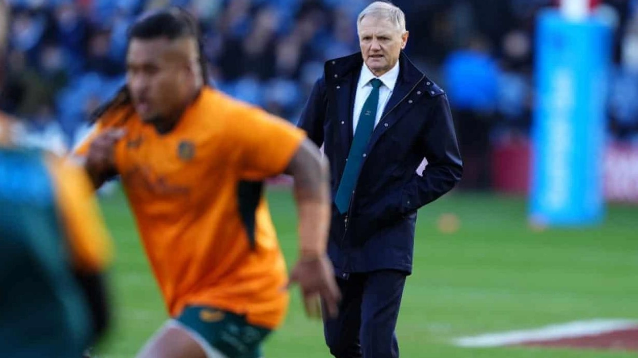 Australia's Resurgence: Schmidt's Impact on the Wallabies