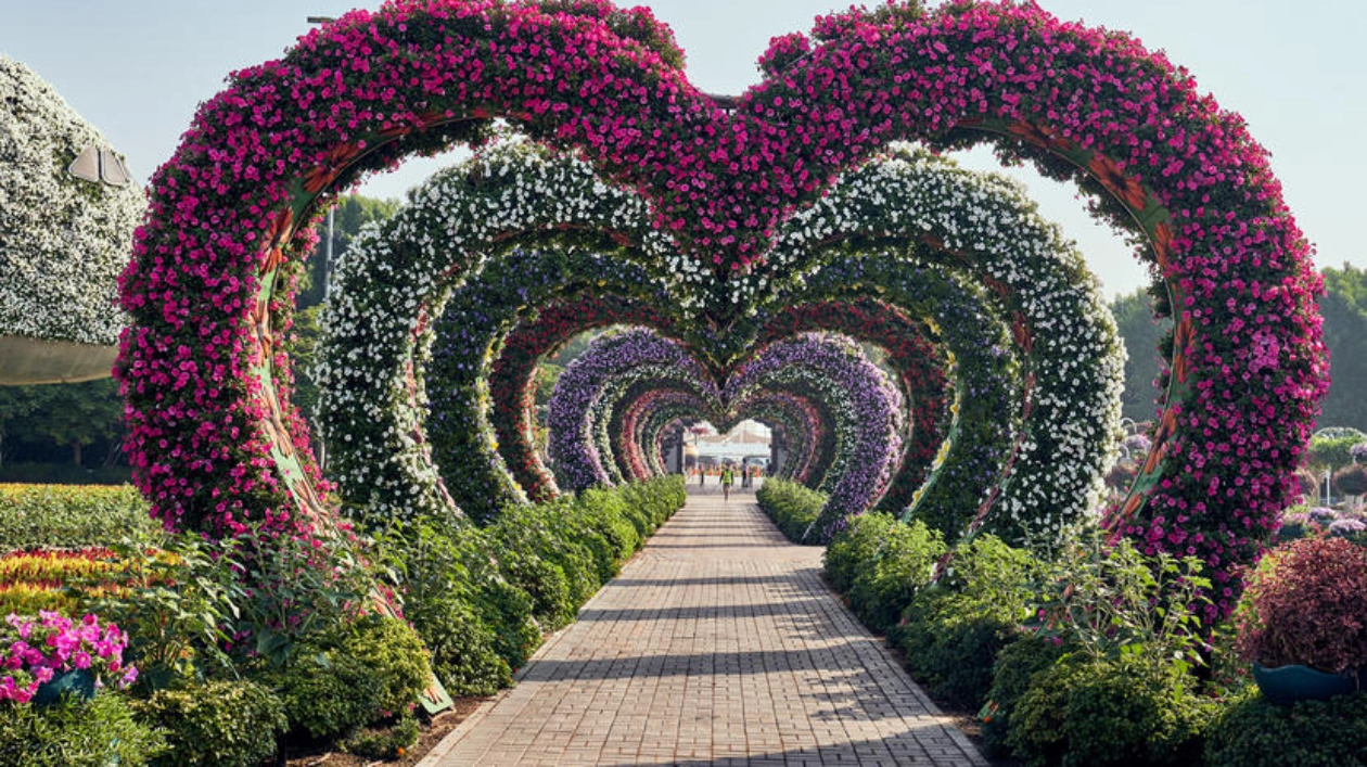 Сад чудес в Дубае - обзор, цена | самый красивый сад цветов