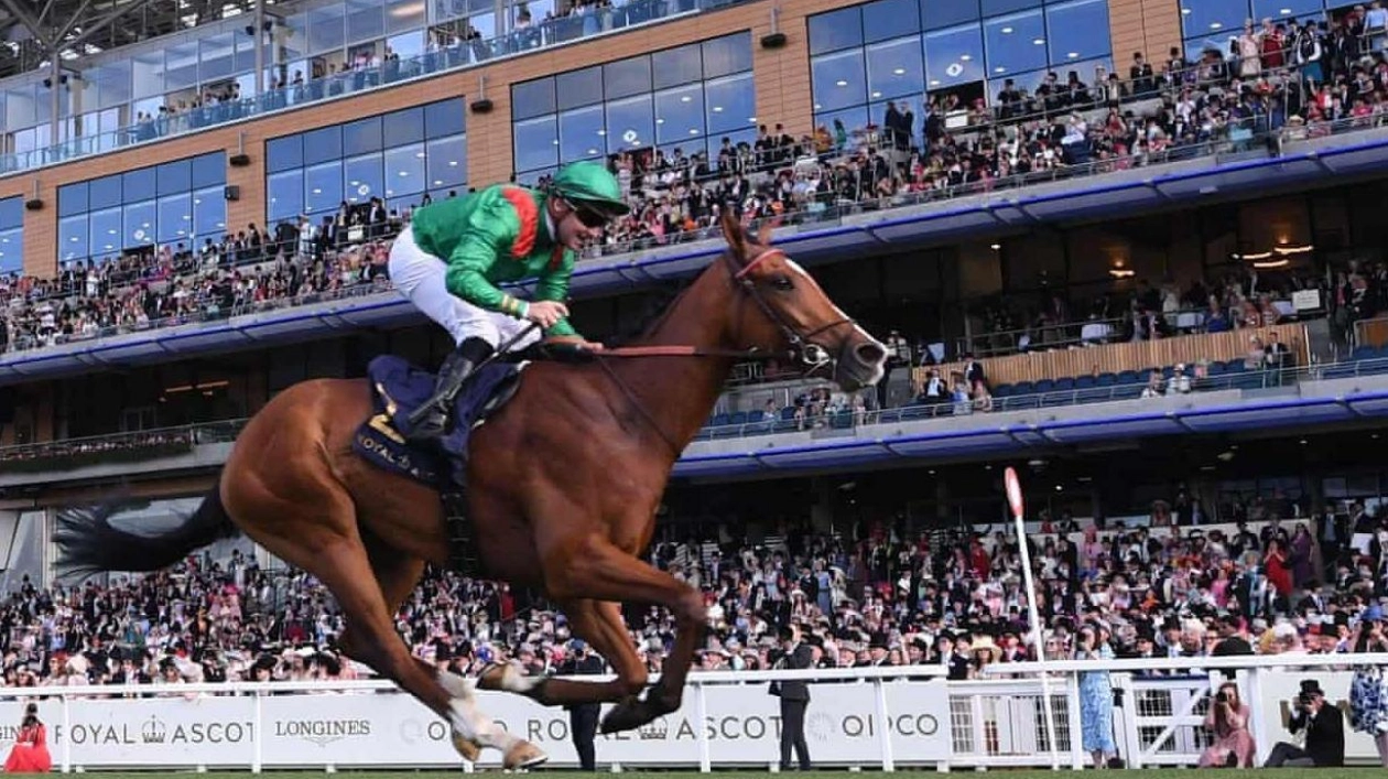 2024 Champions Day: Ascot's Richest Racing Day