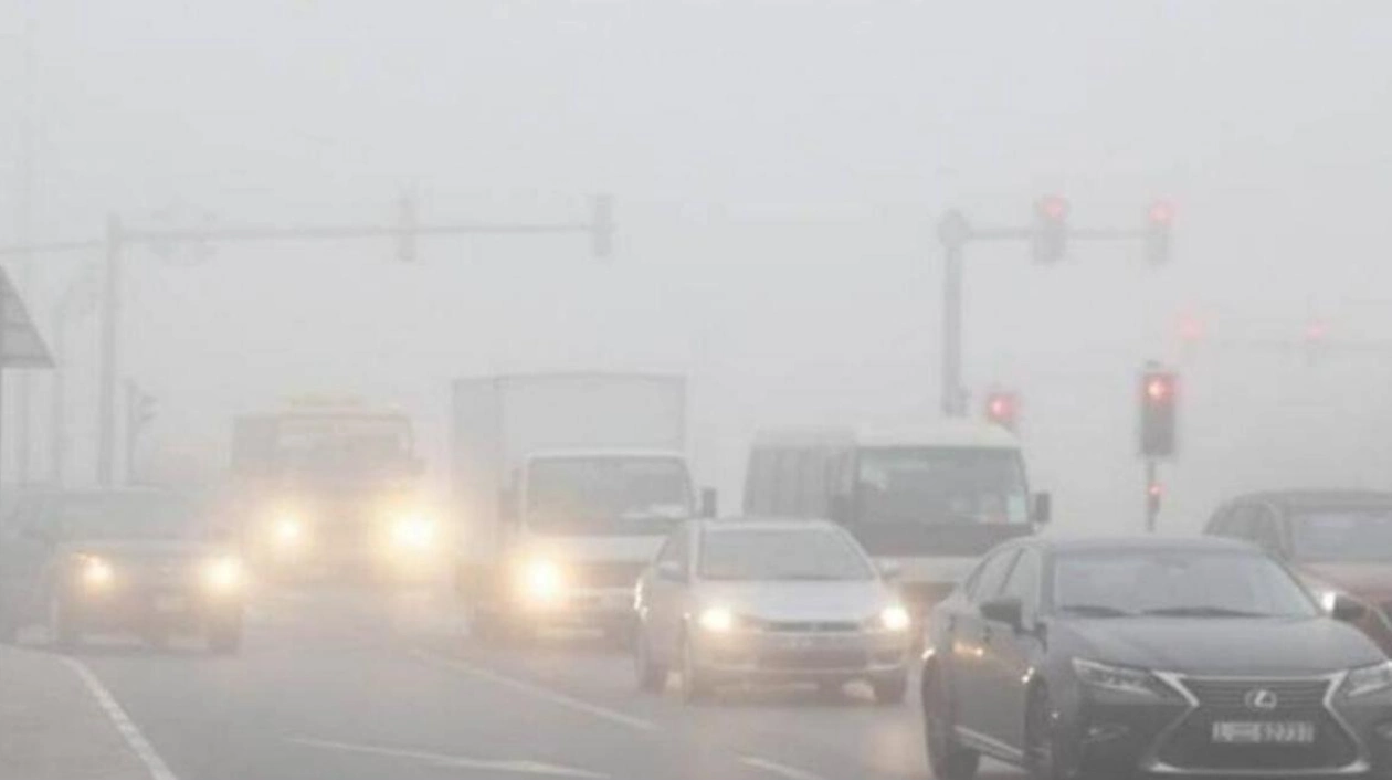 Fog Alerts Issued in Abu Dhabi Suburbs