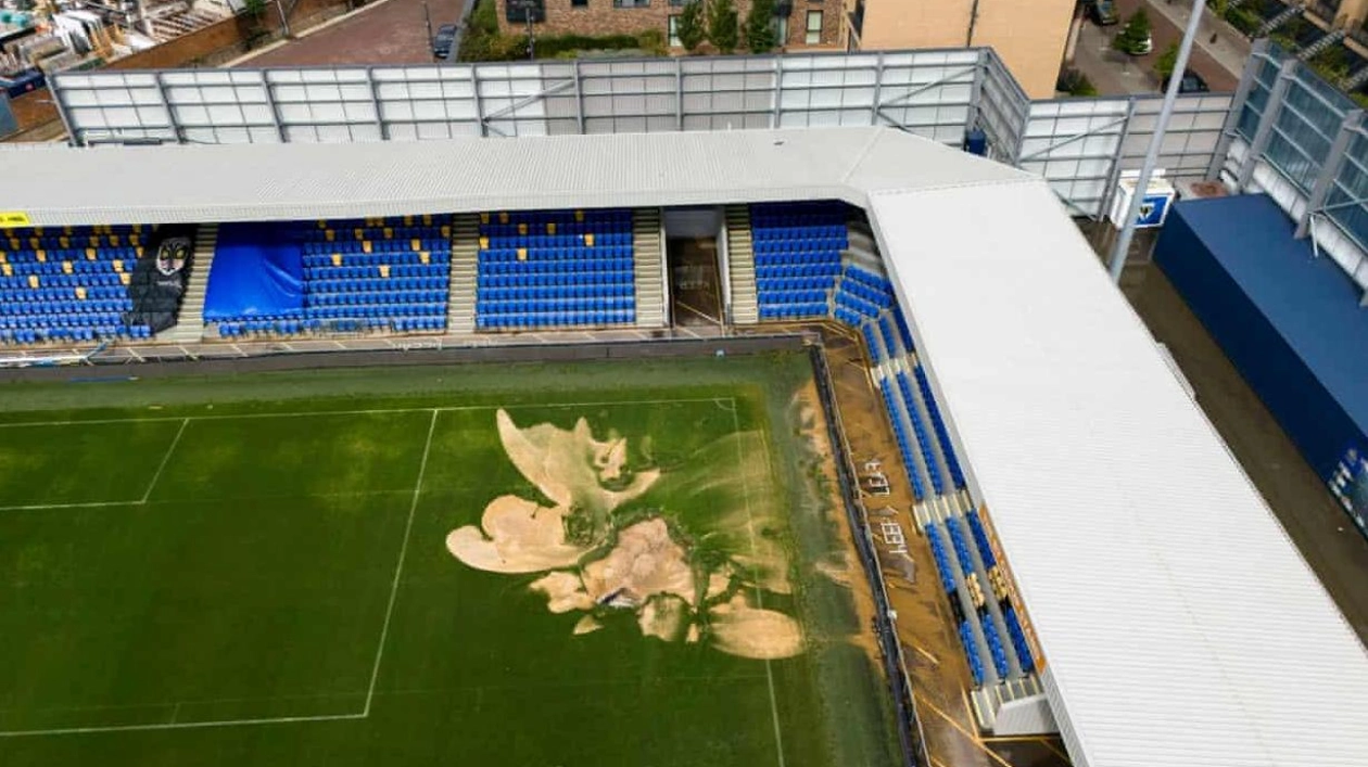 AFC Wimbledon Fan Raises Over £50,000 After Stadium Flood