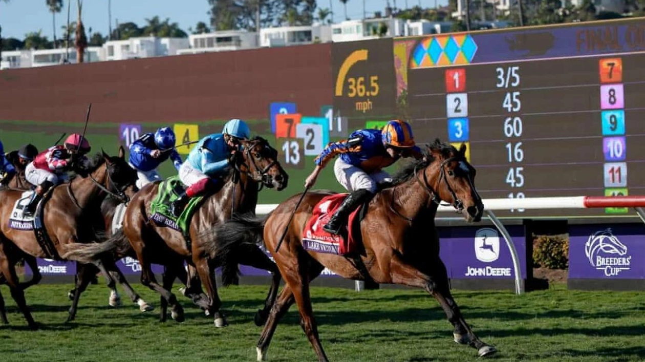 Lake Victoria Dominates Breeders’ Cup Juvenile Fillies’ Turf