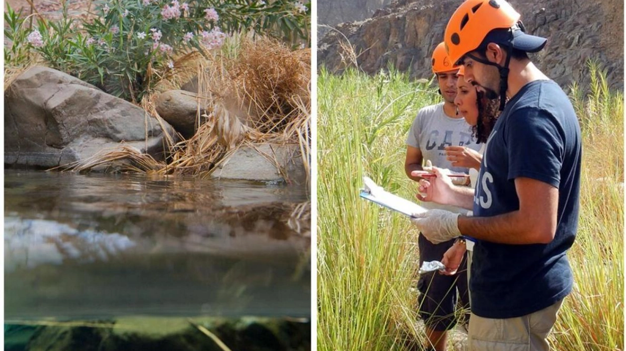 Explore Wadi Wurayah: UAE's First Protected Mountain Area