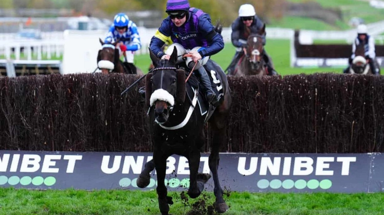 Tragedy Strikes Cheltenham as Three Horses Do Not Return Home