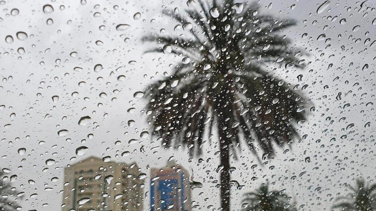 UAE Weather Update: Rain and High Temperatures Forecast