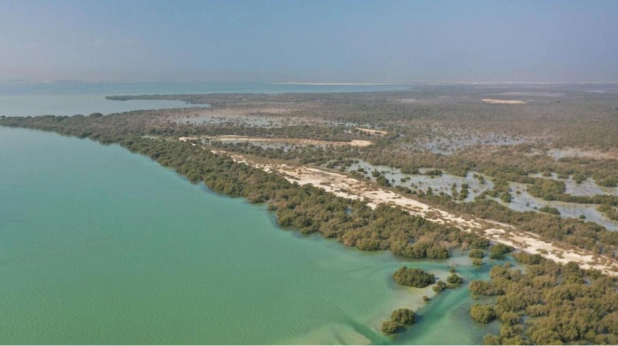 New Ecotrail to Open at Umm Al Quwain Mangrove Reserve